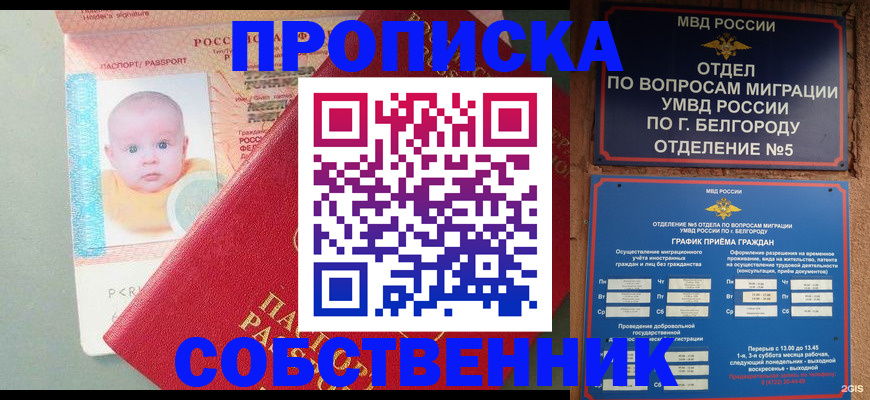 прописка для школы в Камышине