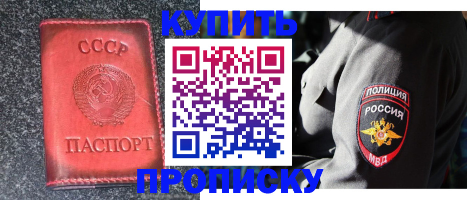 прописка гарантия в Камышине