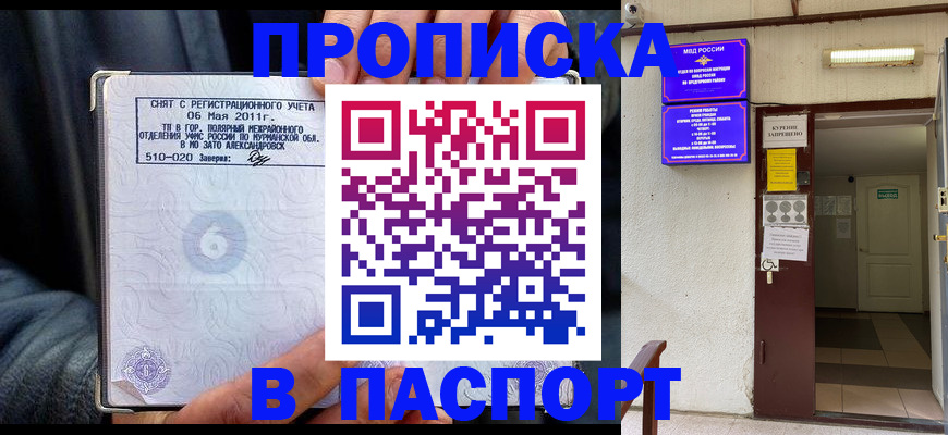 временная регистрация гарантия в Камышине